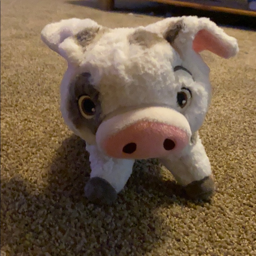 Pua plush from moana small plush